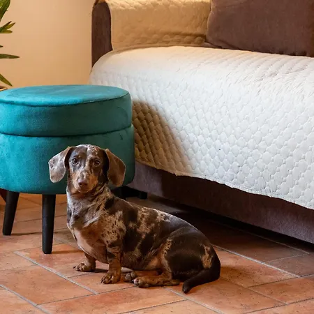 Miva Di Piu Casa Holiday home Arezzo